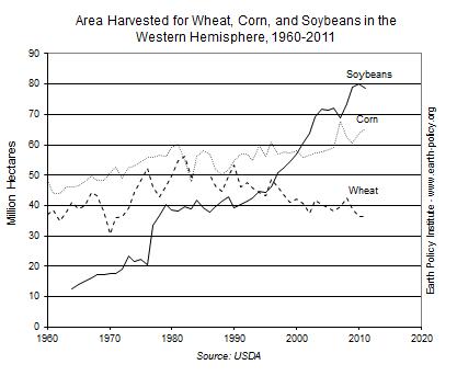 Nearly 60 percent of all soybeans entering international trade today go to China, making it the world’s largest importer. Click the "Image Gallery" to view series of charts that further explain this trend.
